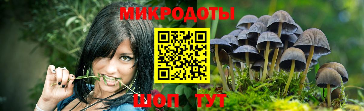 Галлюциногенные грибы мицелий  Галлюциногенные грибы мухоморы  Вход с VPN  Минеральные Воды 