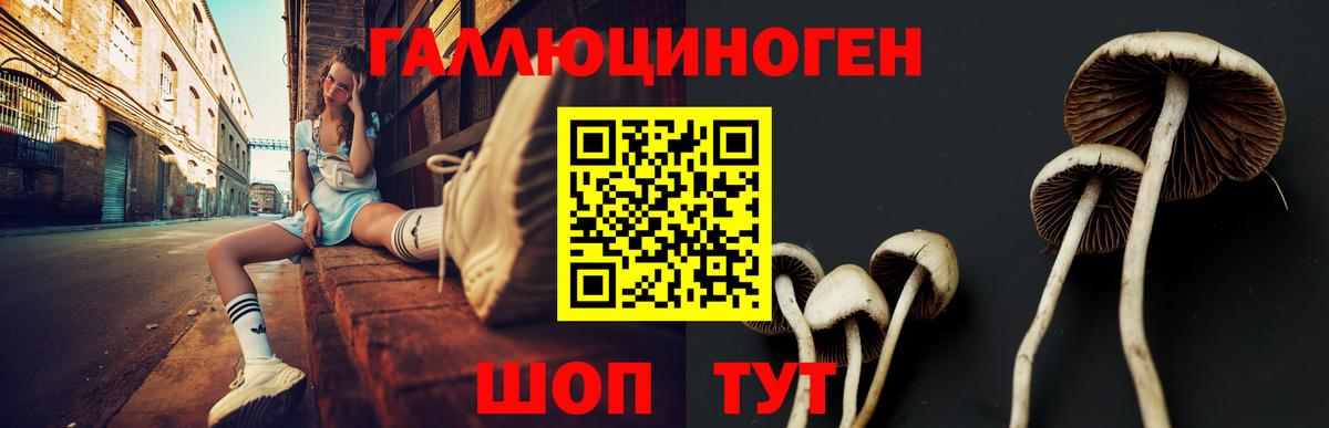 Псилоцибиновые грибы MAGIC MUSHROOMS Минеральные Воды